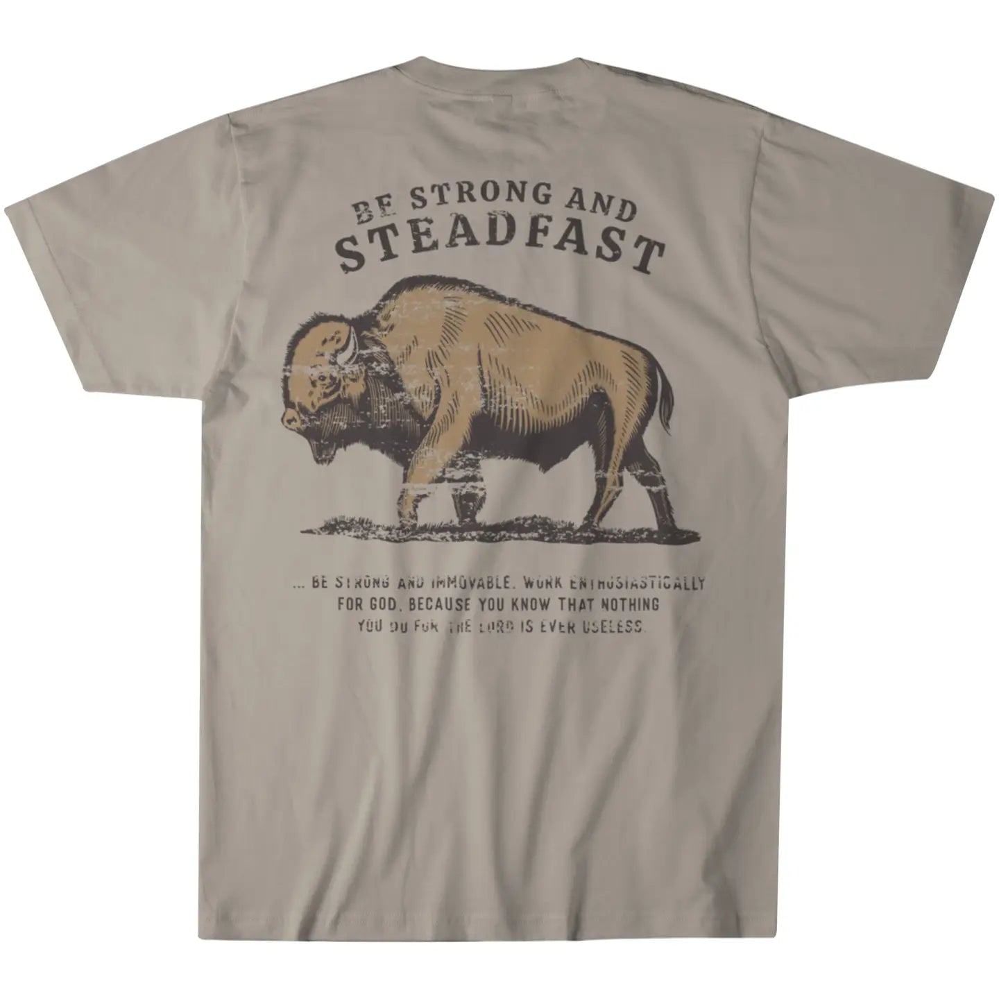 MEN'S BE STRONG AND STEADFAST TEE